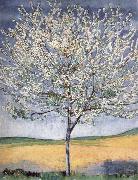 Ferdinand Hodler Cherry tree in bloom France oil painting artist